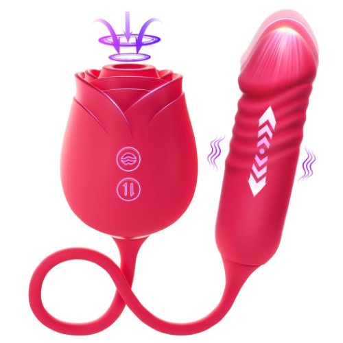 Vibrator Dildo Sex Toys for Women Price In Pakistan